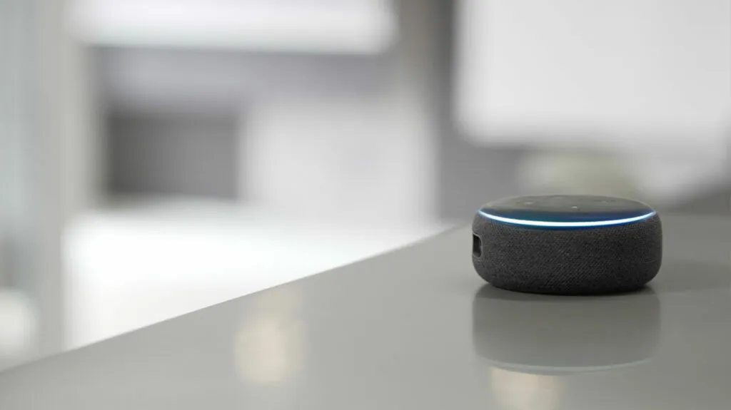 Image Name Alexa-dot-Pic